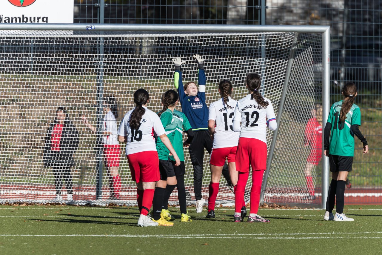 Bild 281 - wCJ Walddoerfer - Wellingsbuettel 3 : Ergebnis: 4:1